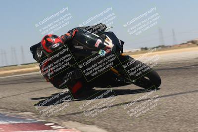 media/Aug-04-2024-TrackDaz (Sun) [[e1ff0814b6]]/Group A/1pm (Grapevine)/